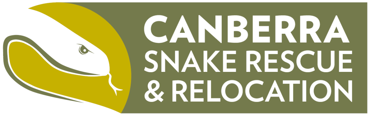 Canberra Snake Rescue | Canberra's Premier Reptile Catchers